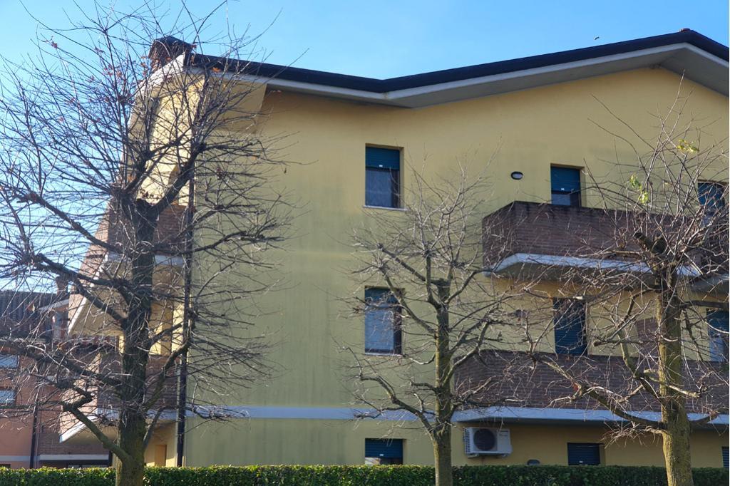 V0490 - Immagine# 17