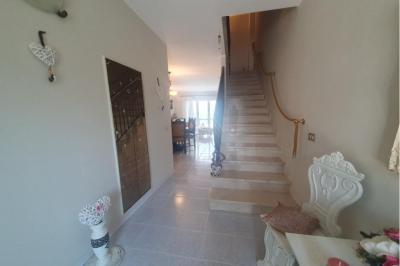 V0507 - Immagine# 24