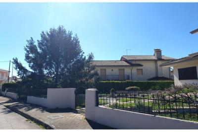 V0514 - Immagine# 28